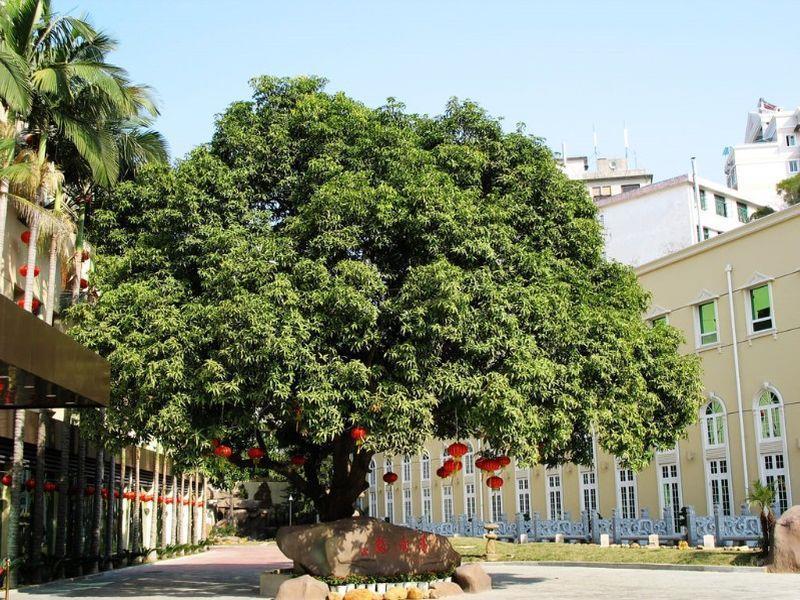Hilford Hotel Hạ Môn Ngoại thất bức ảnh
